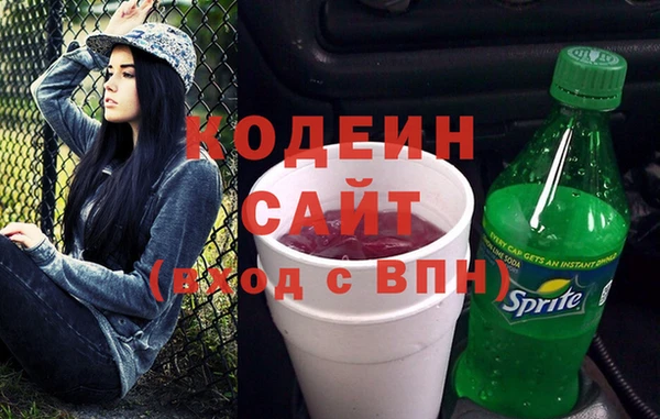 шишки Осинники