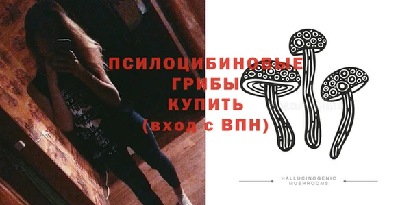 гидра Остров
