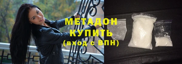 шишки Осинники