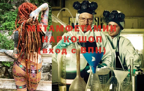 шишки Осинники
