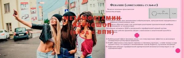 шишки Осинники