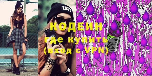 шишки Осинники
