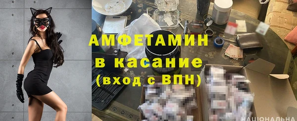 шишки Осинники