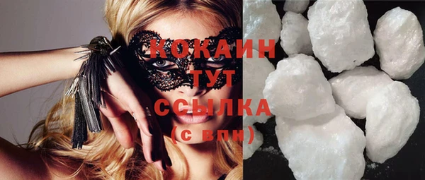 шишки Осинники