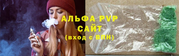 шишки Осинники